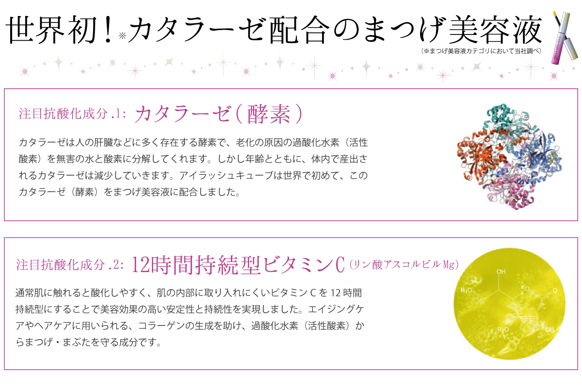 注目の抗酸化成分カタラーゼと12時間持続型ビタミンC