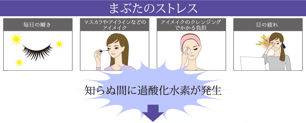 からだの中で最も薄い皮膚である「まぶたや、眼の周りの皮膚」は眼の疲れや瞬きにより、日々多くのストレスを受けやすい場所です。