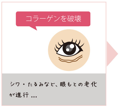 コラーゲンを破壊