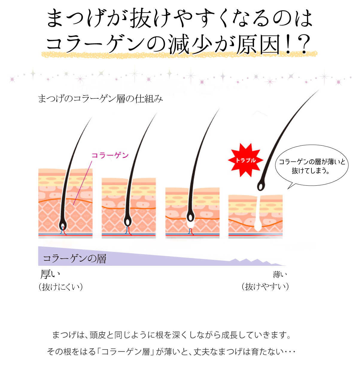 まつげが抜けやすくなるのはコラーゲンの減少が原因！？