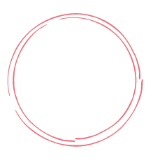 ＼毎日使って／約180回分（約３ヶ月分）