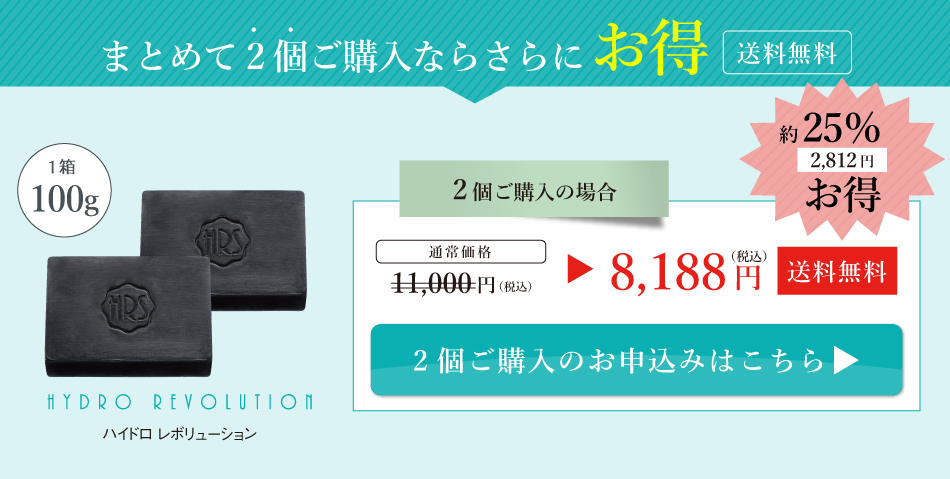 まとめて2個ご購入ならさらにお得　［送料無料］　約26%お得！