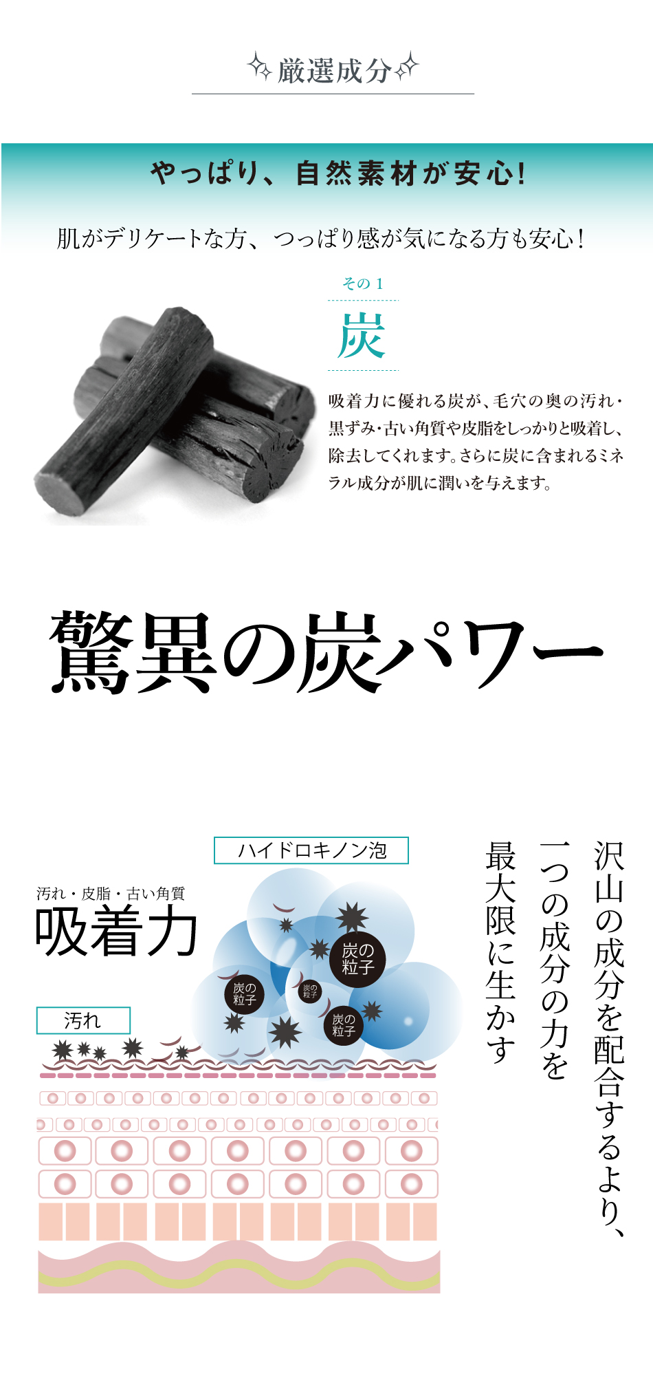 厳選成分　炭