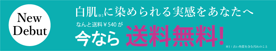 今なら送料無料！