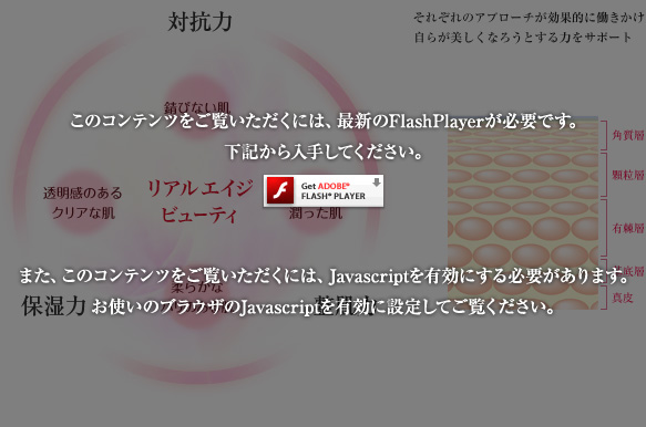 ̃Recɂ́AŐVFlashPlayerKvłB L肵ĂB܂ÃRecɂ́AJavascriptLɂKv܂Bg̃uEUJavascriptLɐݒ肵ĂB
