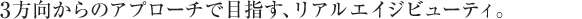 3̃Av[`ŖڎwAAGCWr[eBB